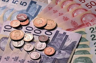 1Ӣ�����ڶ�������� 1Ӣ��=9.1153�����