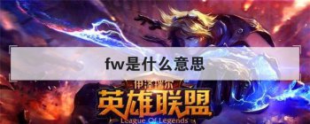 fw��ʲô��˼ �������fw��ʲô������