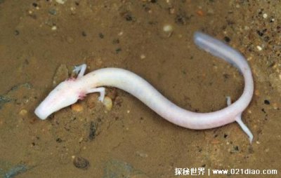 �����ʲô���� ���Ŷ�󢳤���ͻ�����