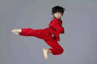 ����骸������ϼ�� ��������곤ʲô��