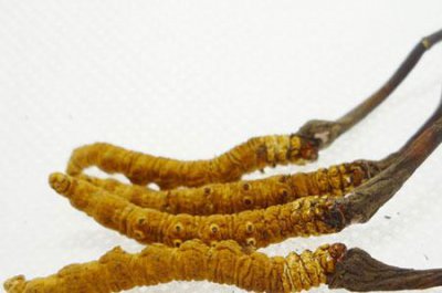 �����ˮ��ʲô��Ч �����������ͺ�����