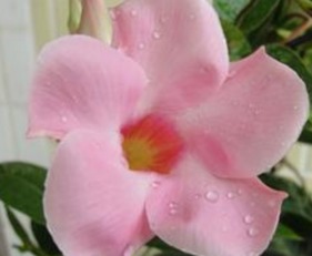 ���쿪�Ļ�����Щ �ɻ���������6��9��