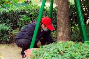 ������ʲô���� �ļ����＾����