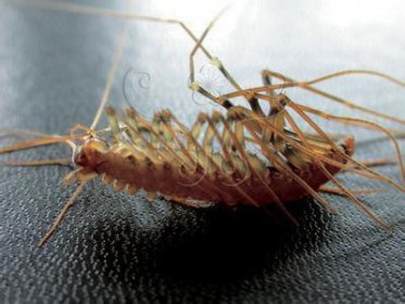 �����������Ԥʾ��ˮ ˵������ﻷ���ǱȽϳ�ʪ��