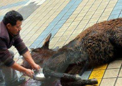 ��¿����ʲô ��¿��Ϊʲô�ǽ���