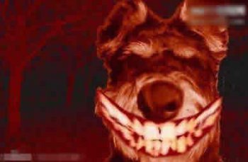 微笑狗为什么吓人 吓人的原因现在根据研究表明