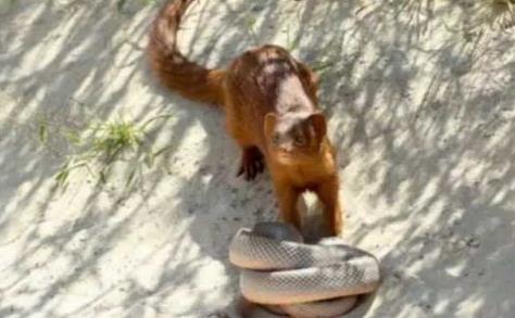 ���Ͽ���������Ҫ���� ���ĲƸ��Ĵ������