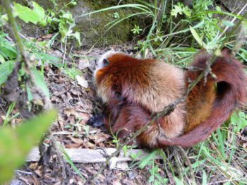 ����������ʲô���� ����ΪʲôҲ����������ɣ�