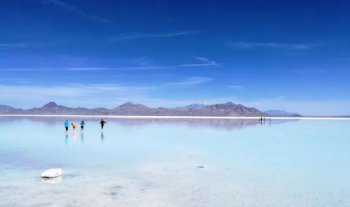 �ո�����ƻ���Ĺ��� һ���ڿ������ո������ó�һ��ƻ��