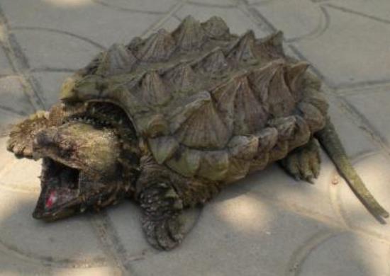 �������ܳ���� ������������������