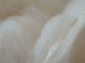 �����ڱ���������� ����᲻����ڱ�����