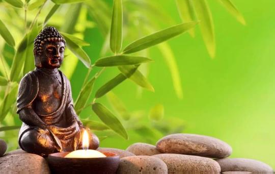 �����������б仯�� ��ͷ�仯 ����İ��ַ�Ӧ