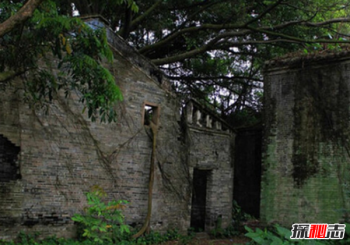 �˱����˴��ֹ� �й���ֲ������˴�