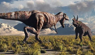 ������vs������˭���� ��������һ���ǰ������Ķ���