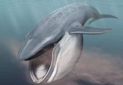 ���뾨��Ĩ�㾨������ ���뾨Ϊʲô�ᱬը