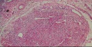 �˷�Ӭ�没���й��й��� ��Ӭ��һ�������ڼ�����֮��ĺ���