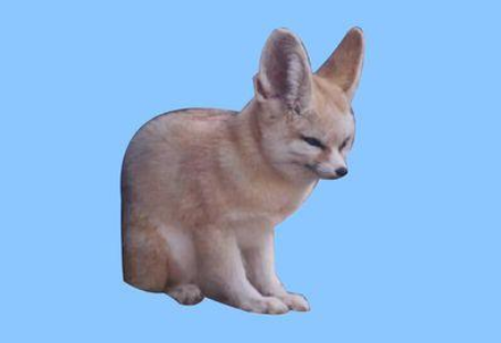 地观音真实存在吗 地观音是什么动物