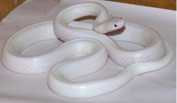 �����������֮�� ����˵������ԭ�����������·�