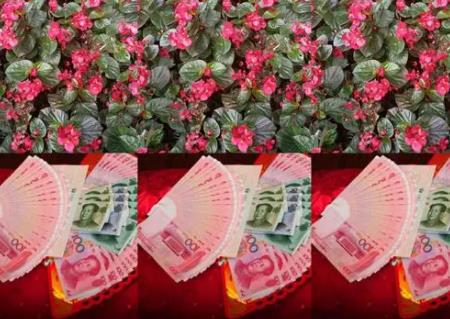 万紫千红一片绿是多少钱 彩礼20万属于什么水平