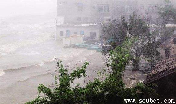 ����������̨�磺̩�����110������ 139�����ݵ���