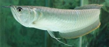 �������ʲô������� ��ʼ������