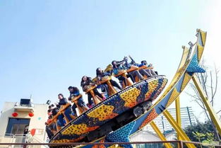 �ɶ����ֹ����� �ڳɶ��н�ţ���������16��