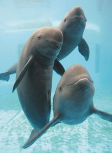 ����ͺ�����ʲô��ͬ �������ڹ��Ҷ�����������