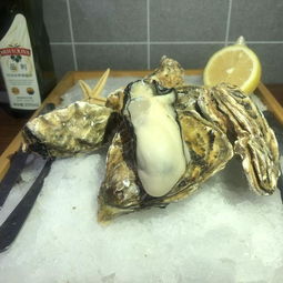 ���������ô���� ���ʴ������ı��淽��