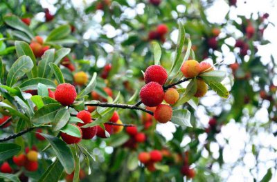 ��÷���·ݳ��� ���νϸߵĵ���7�����ҳ���