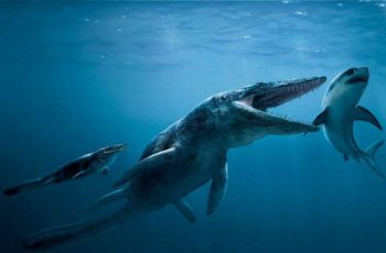 �����Ǽ�׵������ ���嶯�������޼�׵����