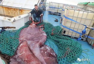 �����Ǽ�׵������ ���嶯�������޼�׵����