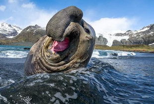 �����Ǽ�׵������ ���嶯�������޼�׵����