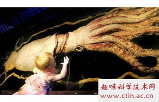 �����Ǽ�׵������ ���嶯�������޼�׵����