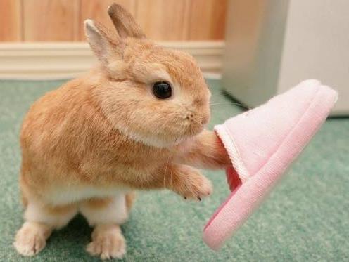 ٪������ô�� �������Ϊ8��