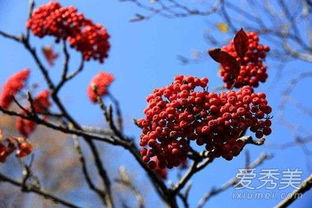 ��������������ʲô�� �����ǡ�������檡�