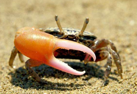 ���г�з����ж�� ���г�з��ս���Ϻ