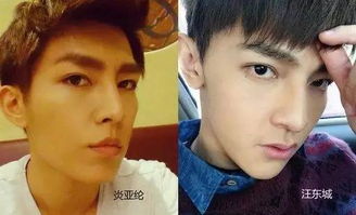 ������ʲô��˼ ����������ĸ���˼