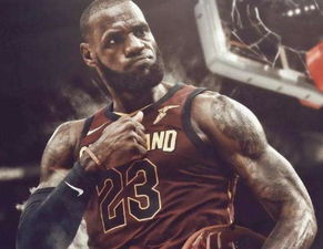 ������ʲô��˼ ����������ĸ���˼