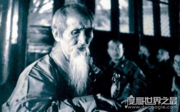 �����Ϻ���Ԥ��2020������� �����Ϻ��е�����