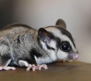 �۴�����������ô�� ��������ˮ��С����ϴ����