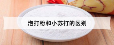 泡打粉和小苏打的区别 小苏打和泡打粉哪个好