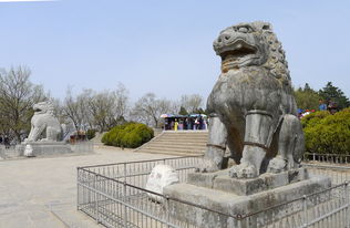 ʯʨ�Ӽɻ�ʲô��Ф �ɻ����Ф�ϻ�