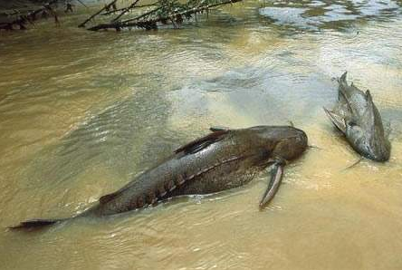 ����ѷ�����ж����� ����ѷ�������Ǯһ��