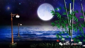 夜书所见中的书是什么意思 是指在孤寂写写所思念的景象