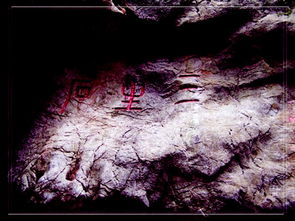 ������49���ȫ������������ʲô ���Ǹ���������Ͷ̥��ȥ��