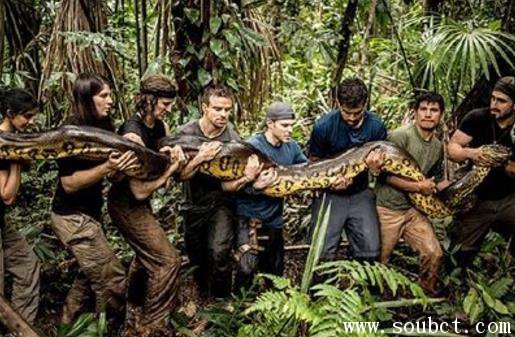 绿森蚺和蟒蛇的区别 世界上最大的蛇