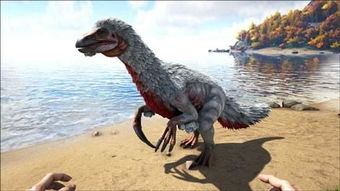 ��������ʲô ��������ǿ��ʳ�ݶ���