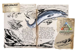 ��������ʲô ��������ǿ��ʳ�ݶ���