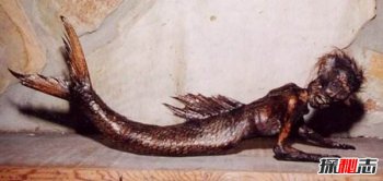 ���������ͼƬ̫���� ��������������ͼƬ