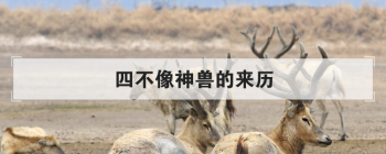 �Ĳ������޵����� �������Ĳ��������ʲô��